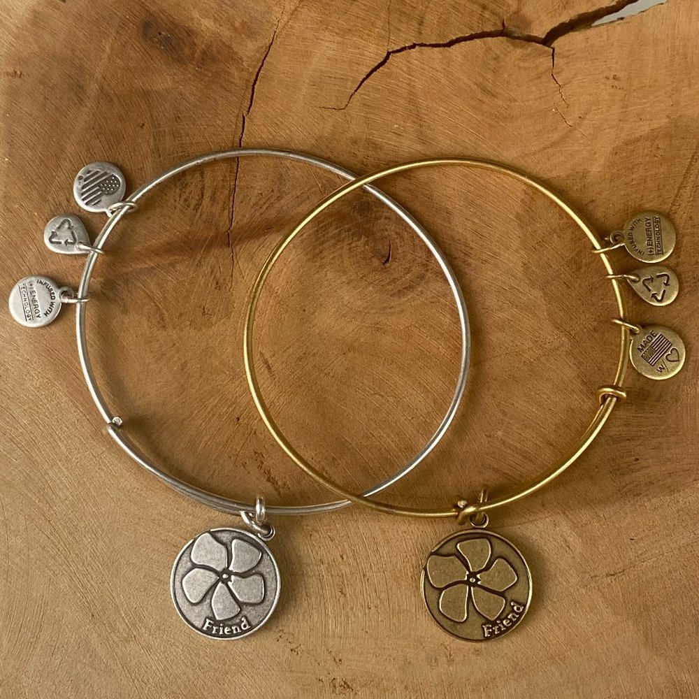 ALEX & ANI Friend Bracelet Energy Charm Bangle Set, Rafaelian Gold and Silver